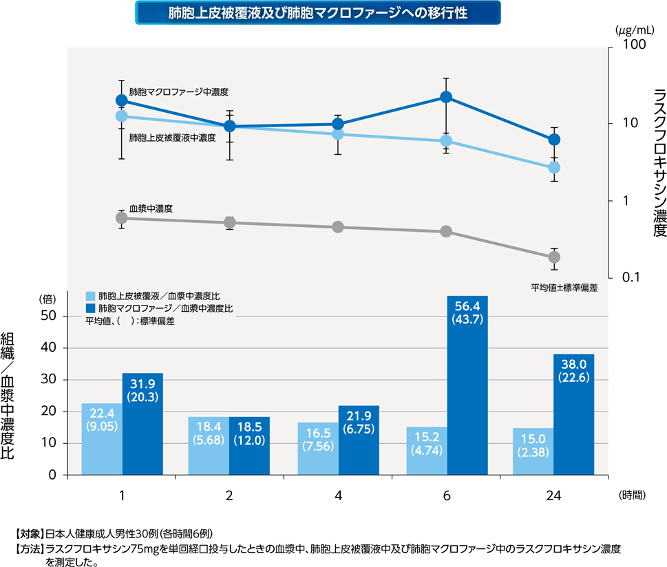 肺胞上皮被覆液及び肺胞マクロファージへの移行性