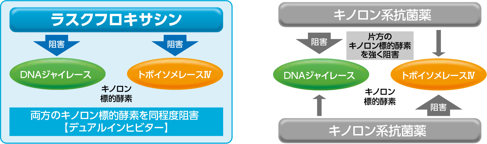 作用機序