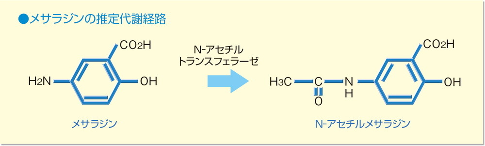 図：メサラジンの推定代謝経路